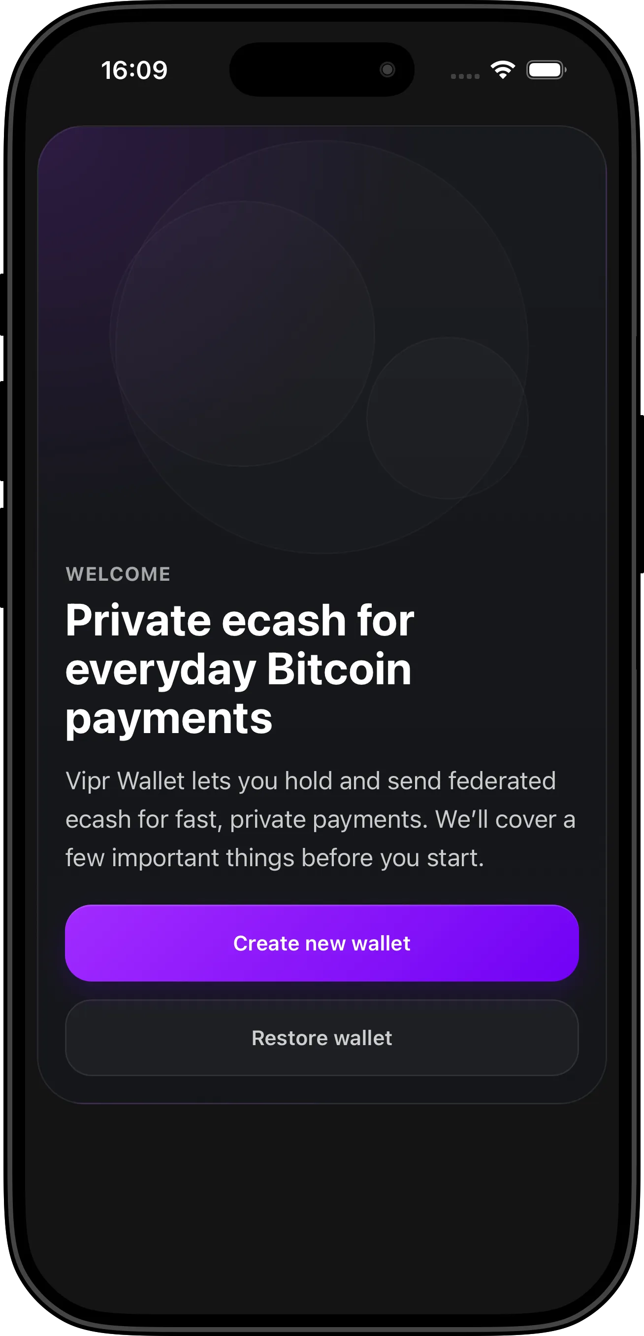Vipr Wallet onboarding screen for getting started with the app